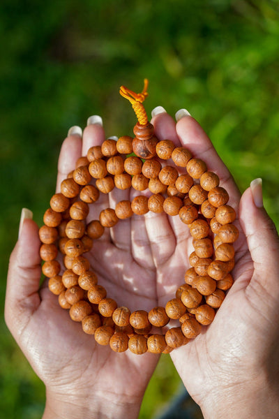 Spiritual Path: 108 White Bodhi Seed Mala